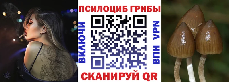 магазин Красноуральск Псилоцибиновые грибы Magic Shrooms